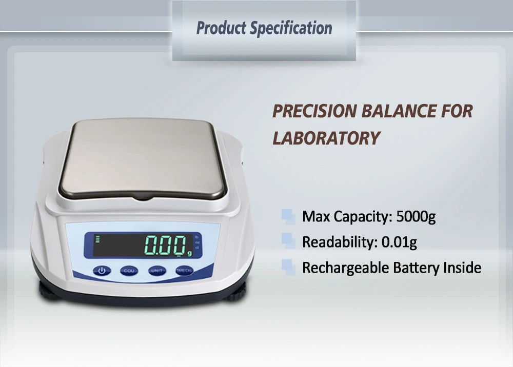 MP-S Dual Display Balance MP-S Dual Display Balance